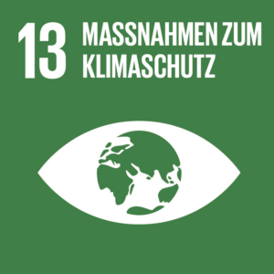 Die Zukunftswerkstatt Nachhaltige Finanzbildung unterstützt das SDG 13 Maßnahmen zum Klimaschutz Die Zukunftswerkstatt Nachhaltige Finanzbildung unterstützt das SDG 13 Maßnahmen zum Klimaschutz